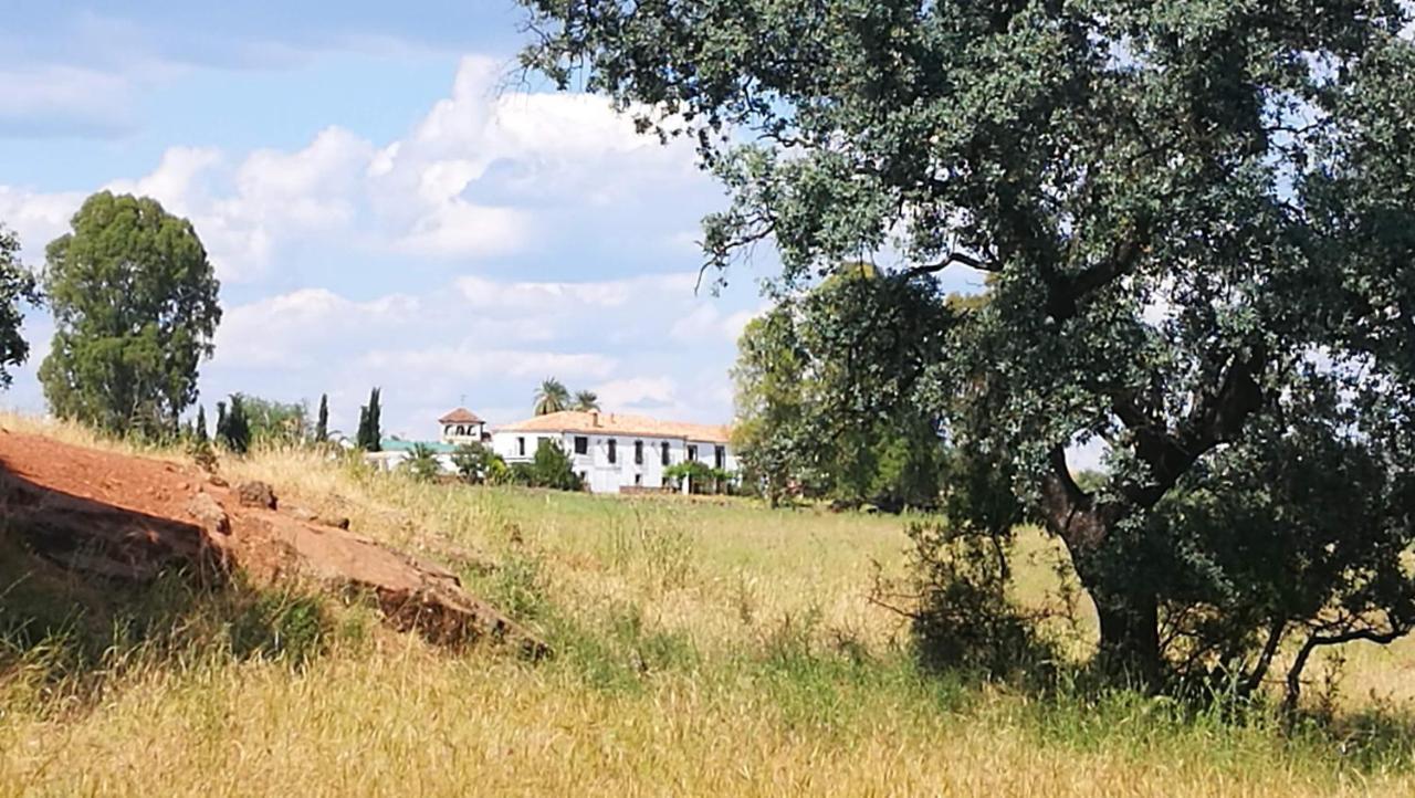 Finca El Vizconde Naturaleza Con Tus Hijos Arquillos Exterior photo
