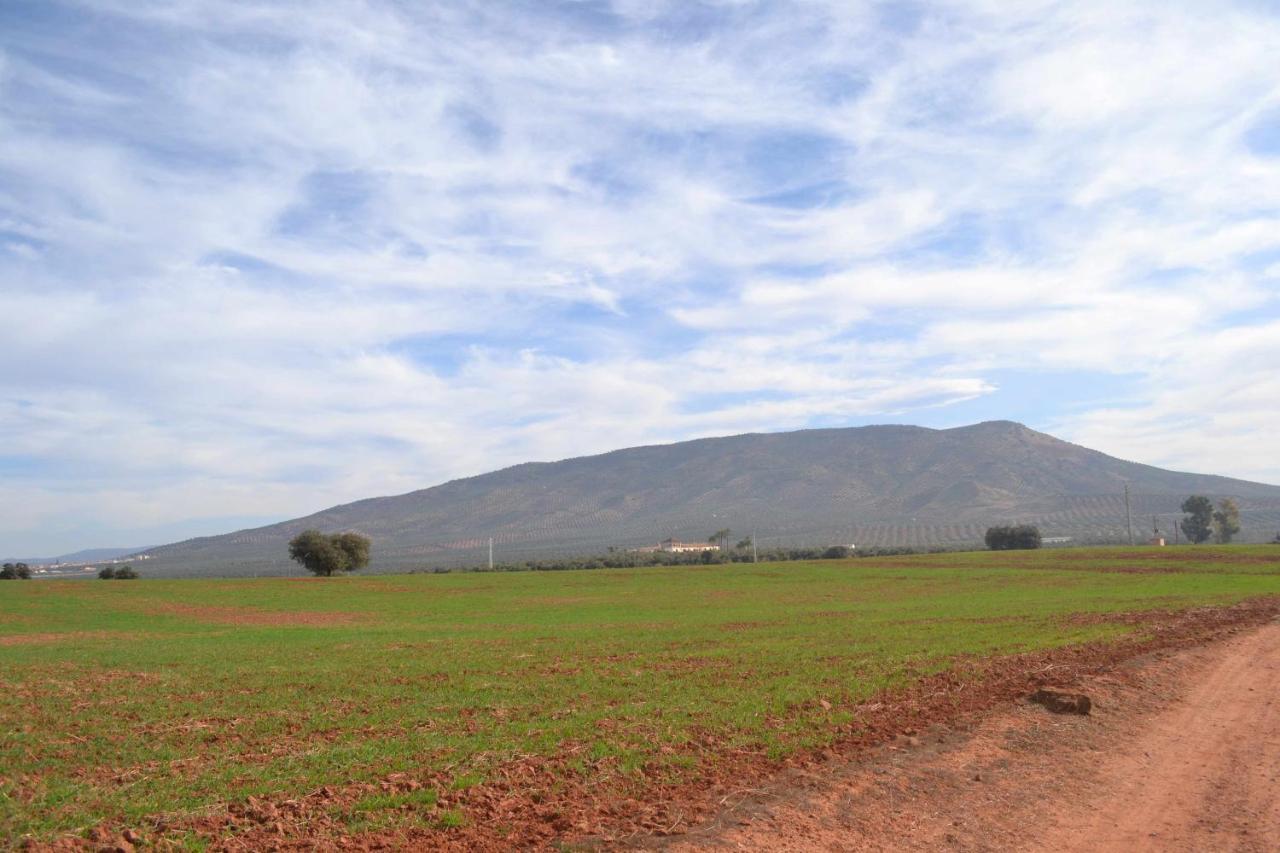 Finca El Vizconde Naturaleza Con Tus Hijos Arquillos Exterior photo