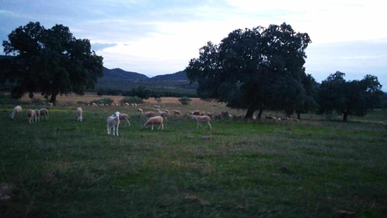 Finca El Vizconde Naturaleza Con Tus Hijos Arquillos Exterior photo